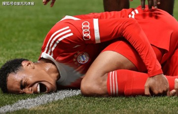 太可惜了!拜仁天才指挥官遭遇重伤,巴黎门神为此掩面哭泣自责